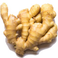 Wholesale prices for fresh ginger